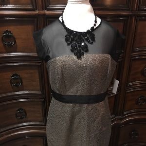 NY&C Black & Gold Dress